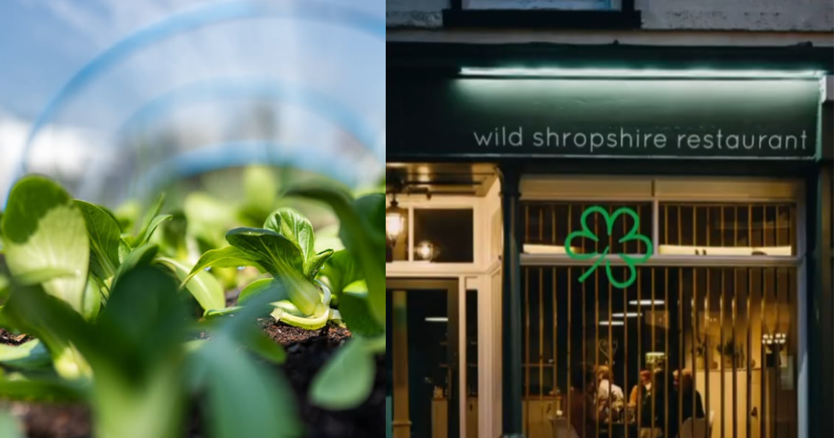 Wild Shropshire restaurant