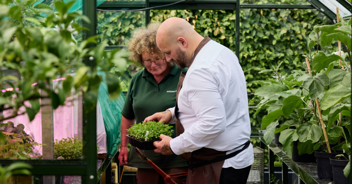 Adam Degg at Fifty Two at Rudding Park
