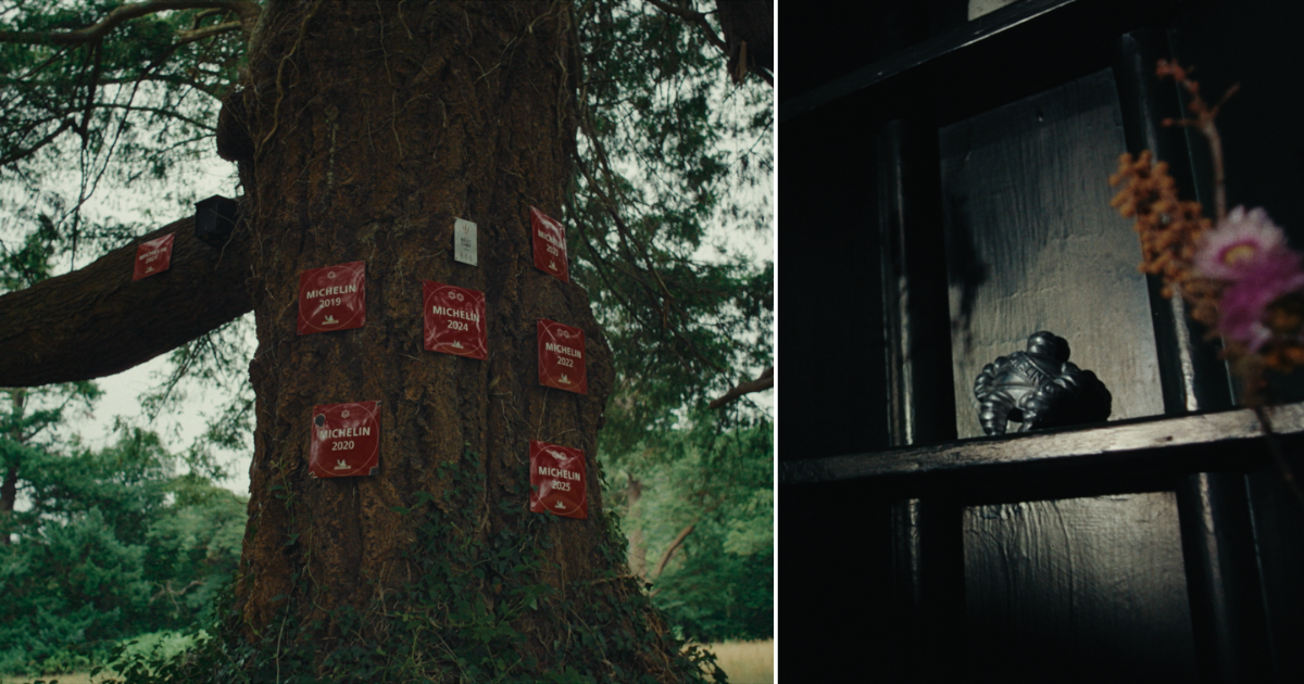 Tree with Michelin plaques at Ynyshir and statue of Bibendum in the restaurant