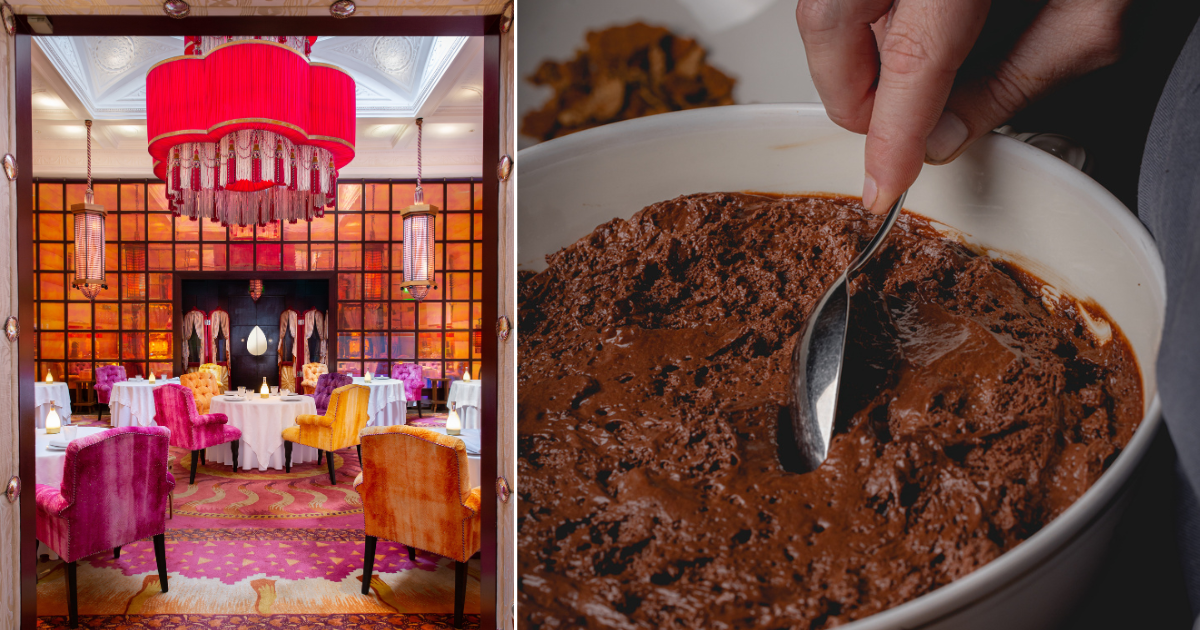 Sketch and chocolate mousse at The Parakeet