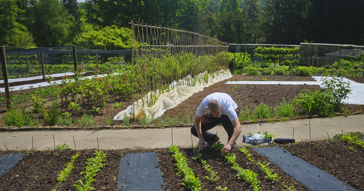 Martin Carabott at Gravetye Manor gardens