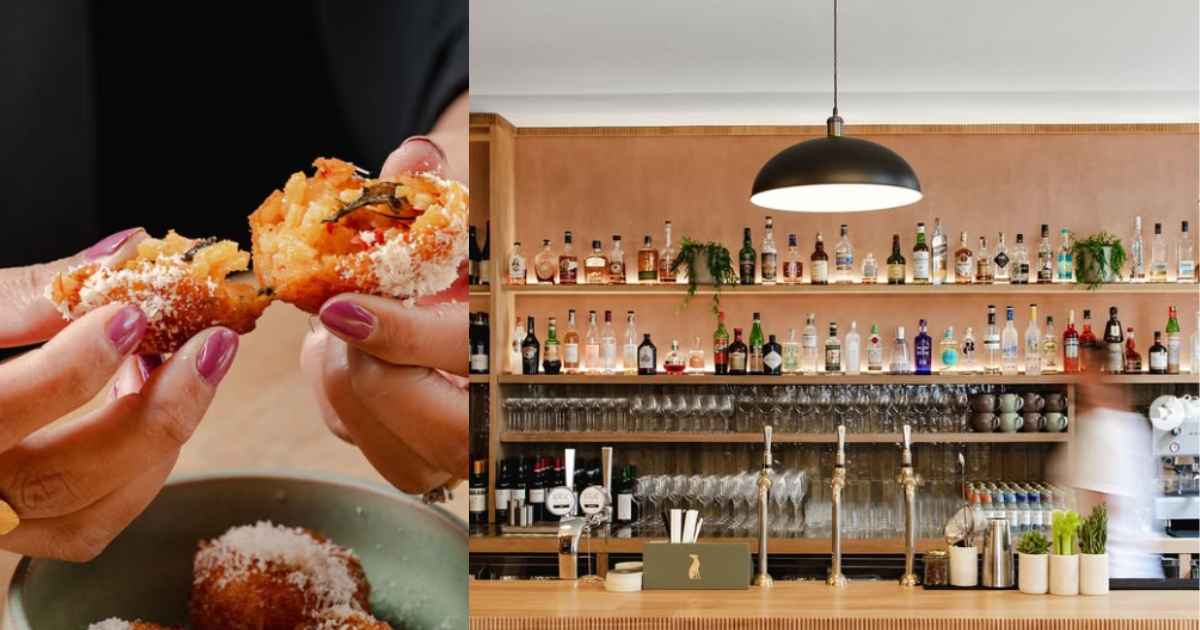 The Italian Greyhound