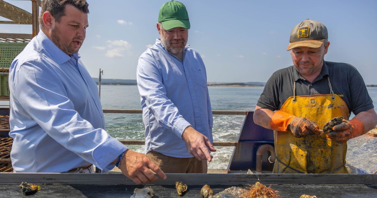 Sal Brock and Nathan Outlaw in the sea with a fisherman