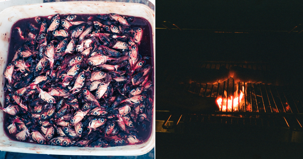 Fish in San Sebastian