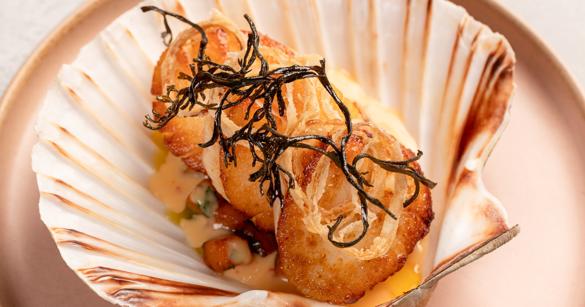 Scallop, pumpkin and yuzu kosho