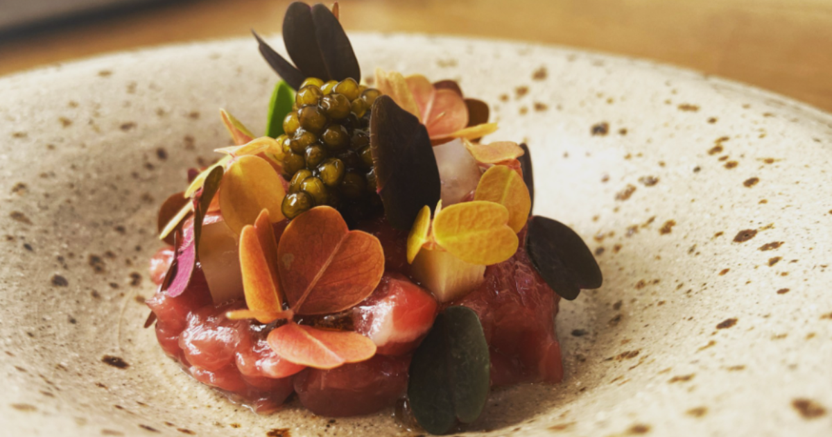 The Forest Side, Paul Leonard