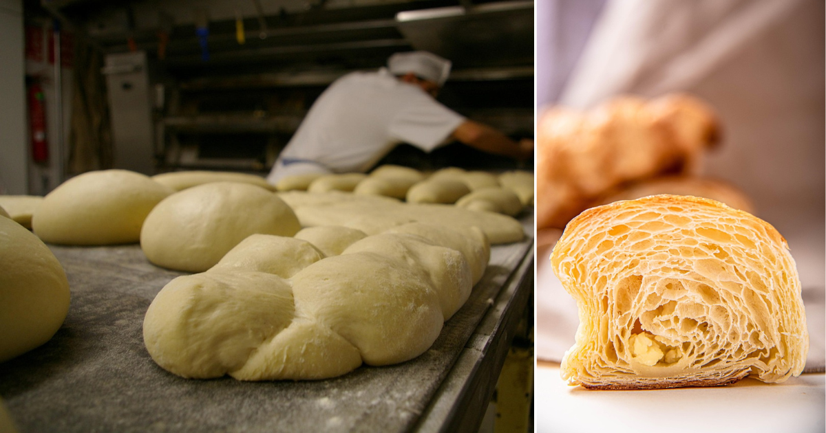 dough and croissant